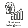 Business Inteligence